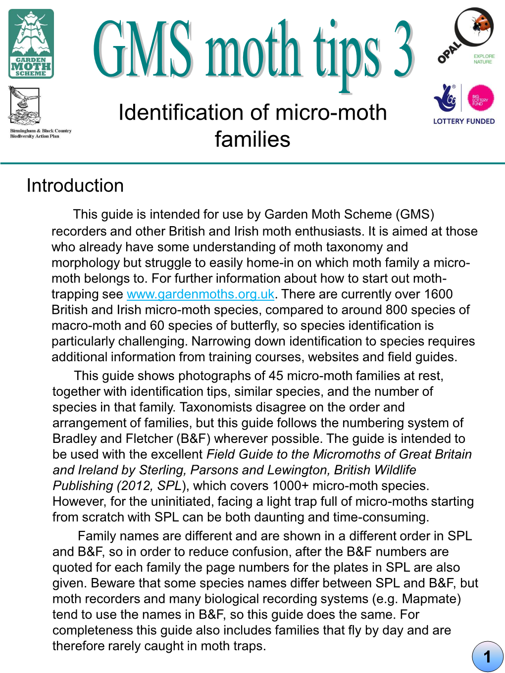 Identification of Micro-Moth Families