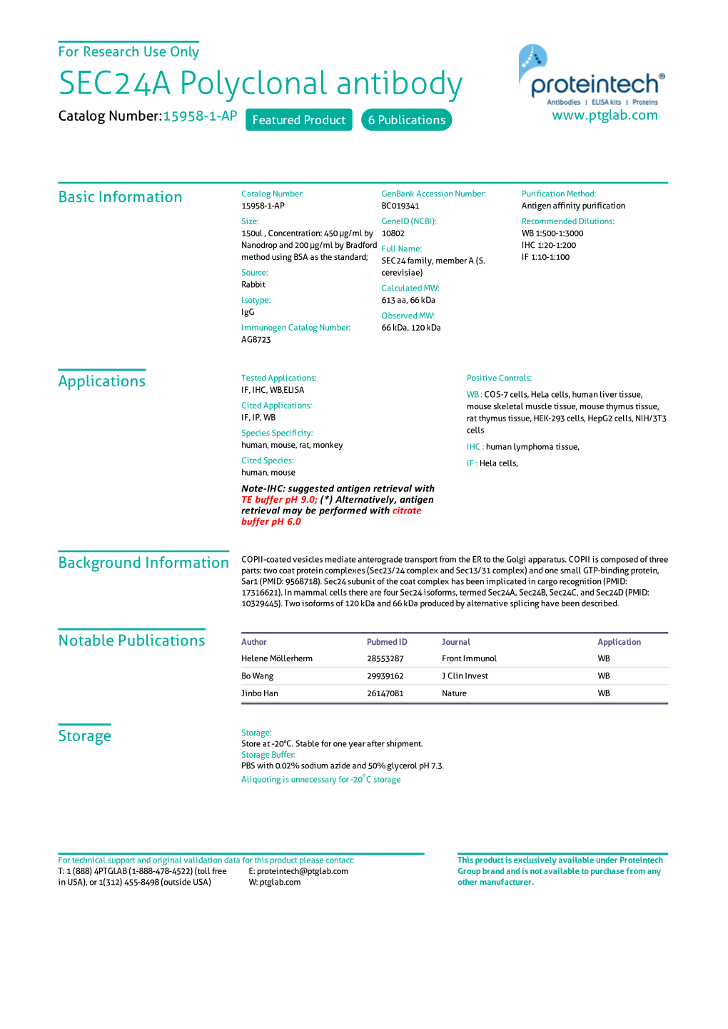 SEC24A Polyclonal Antibody Catalog Number:15958-1-AP Featured Product 6 Publications