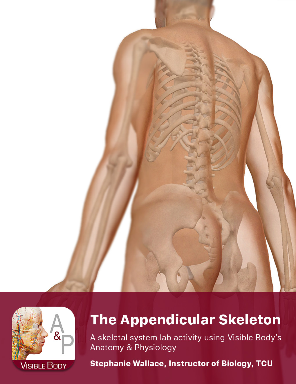 Lab Manual Appendicular Skele