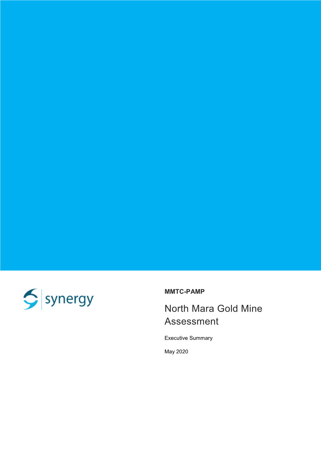 North Mara Gold Mine Assessment