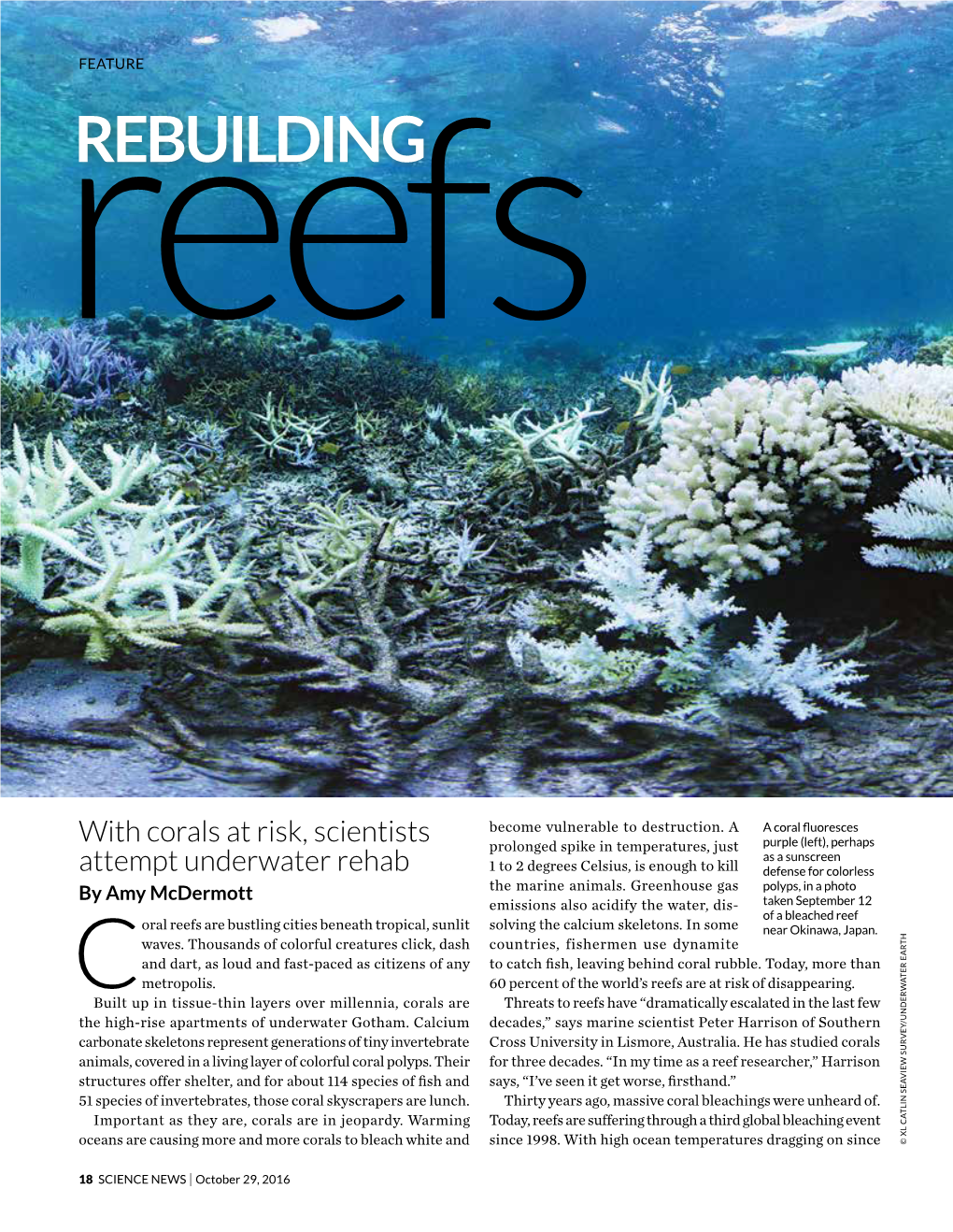 Rebuilding Reefs