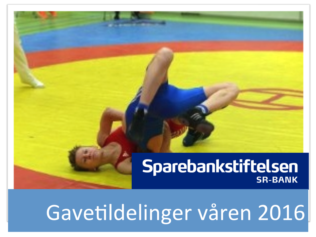 Tildelingsliste Sparebankstiftelsen