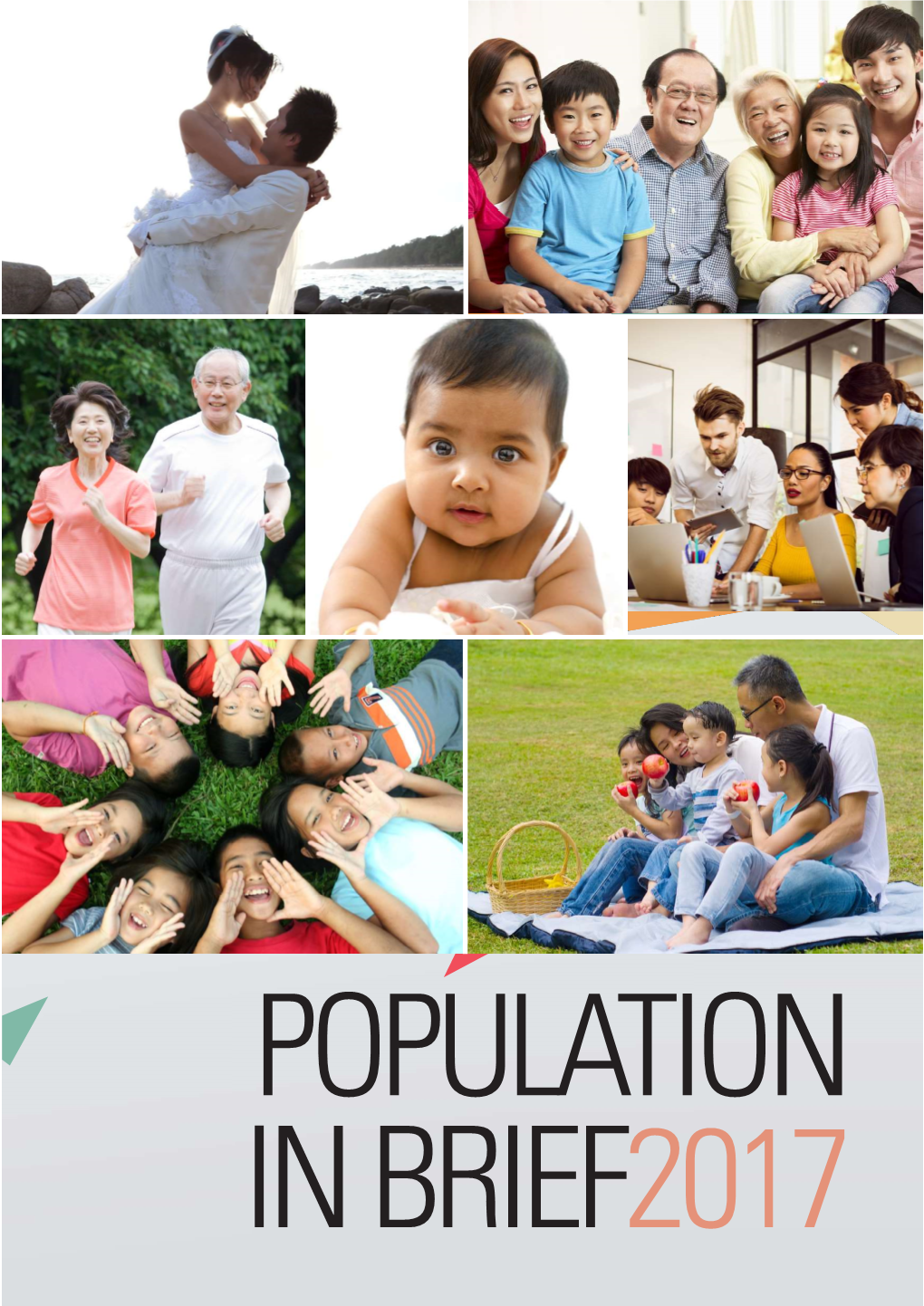 Population-In-Brief-2017.Pdf