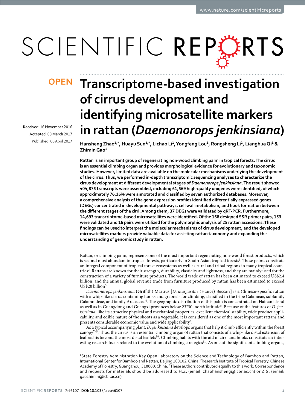 Transcriptome-Based Investigation of Cirrus Development And