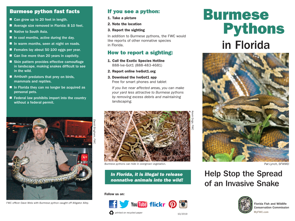 Burmese Pythons in Florida As and Exercise Caution and Common Sense