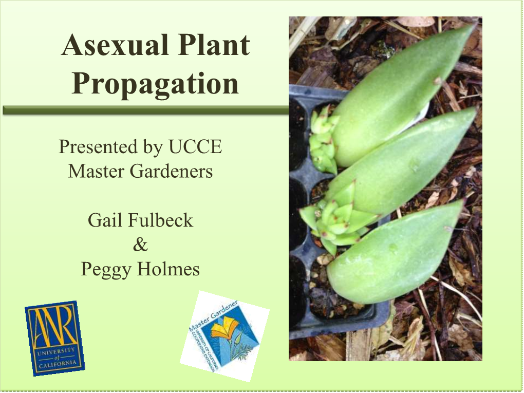 Asexual Plant Propagation