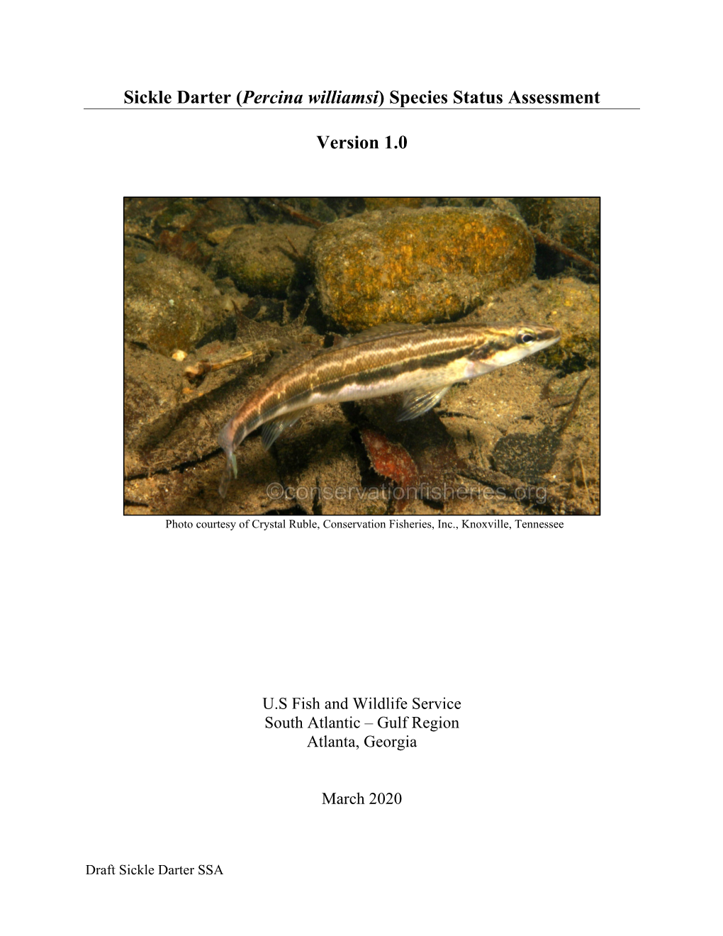 Sickle Darter (Percina Williamsi) Species Status Assessment