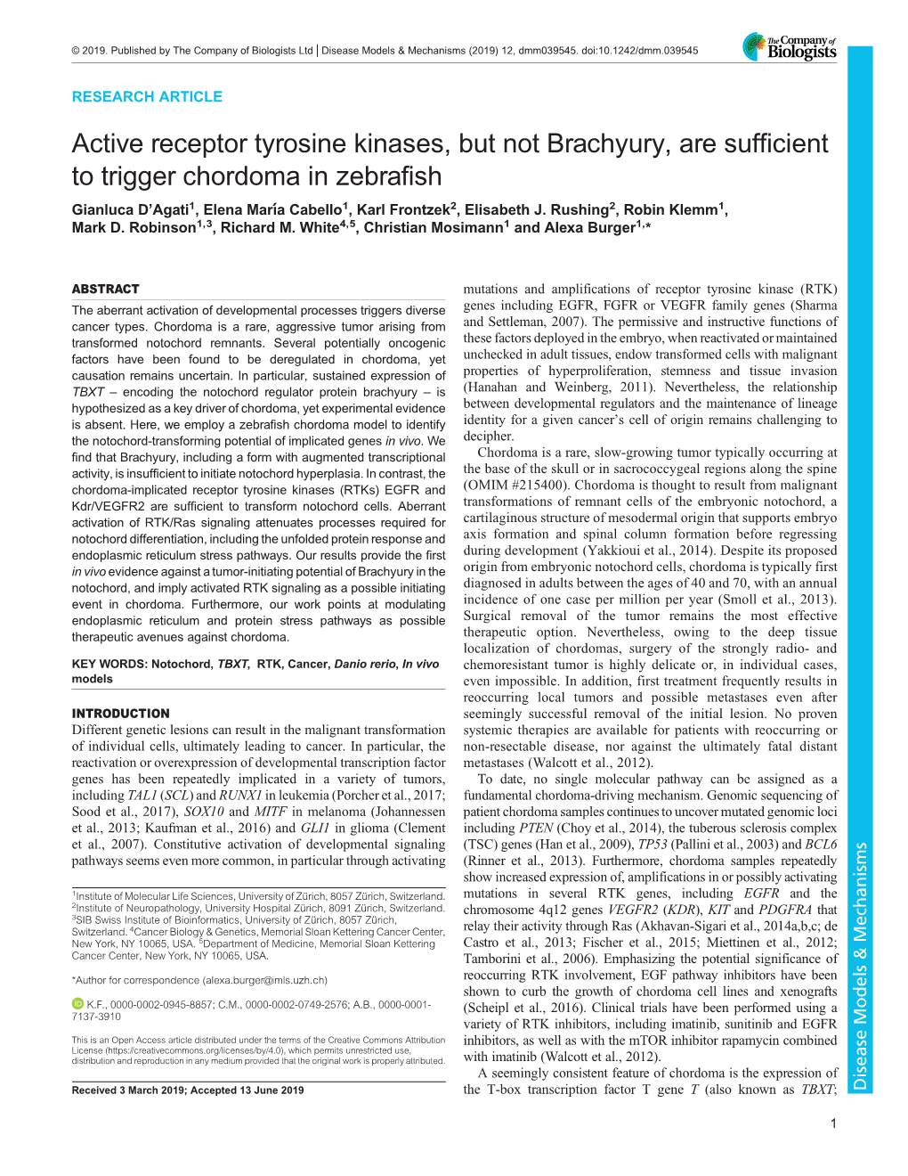 Active Receptor Tyrosine Kinases, but Not Brachyury, Are Sufficient to Trigger Chordoma in Zebrafish