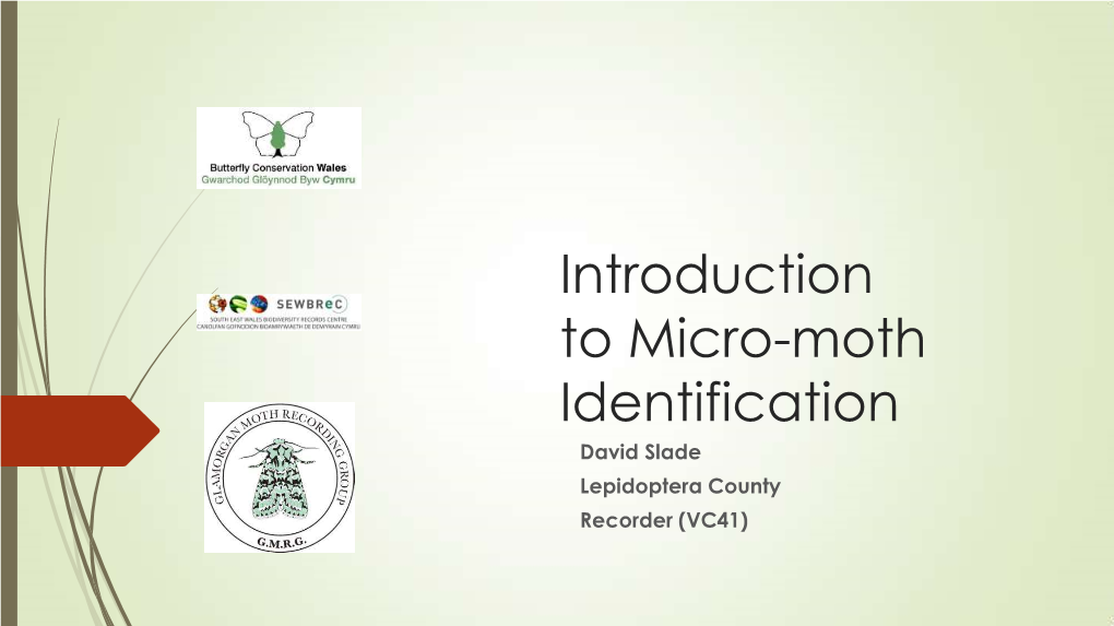 Introduction to Micro-Moth Identification David Slade Lepidoptera County Recorder (VC41) What Is the Difference… Macro Vs Micro a Large Micro – Wingspan C35mm