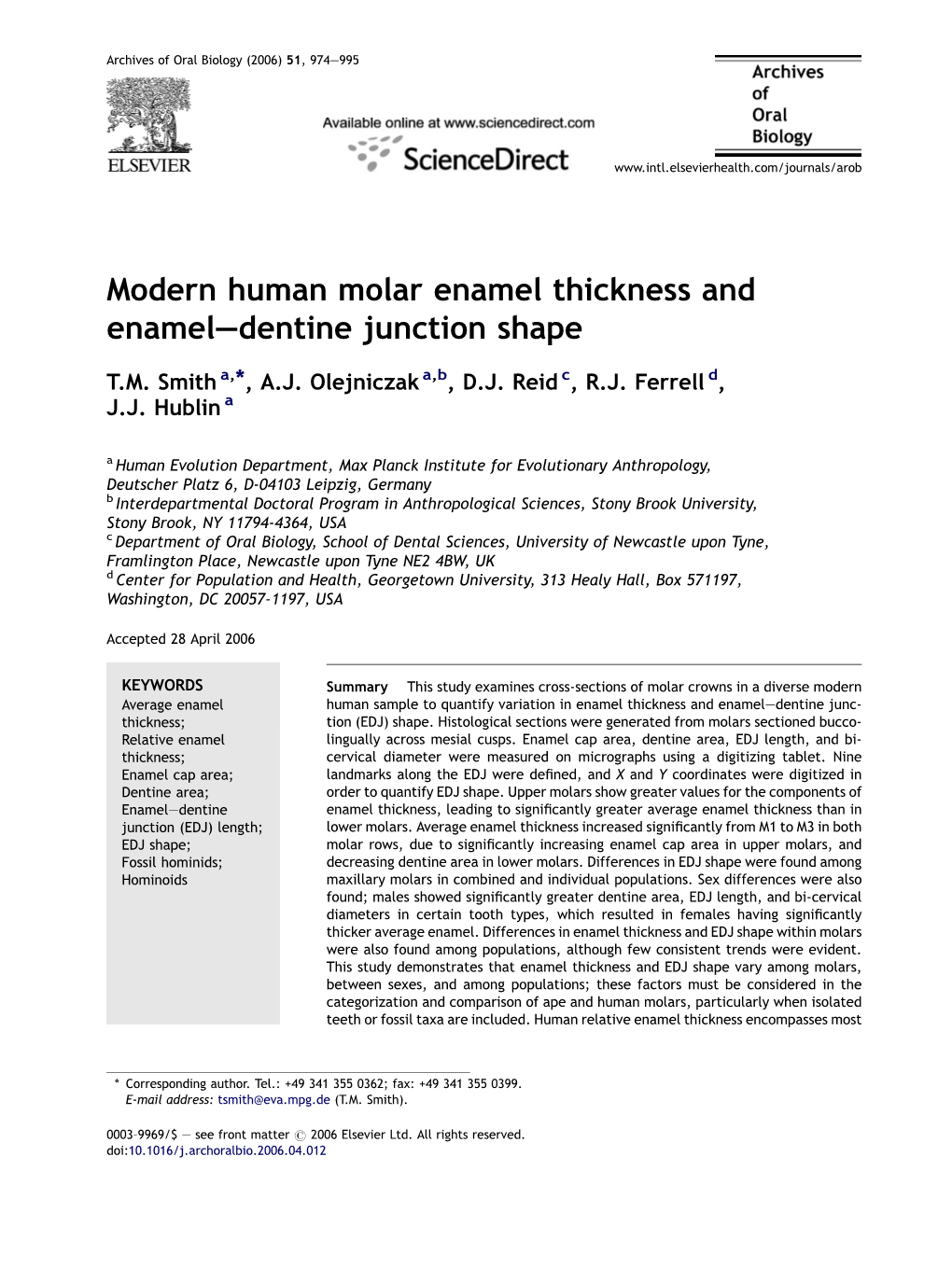 Modern Human Molar Enamel Thickness and Enamel—Dentine Junction Shape