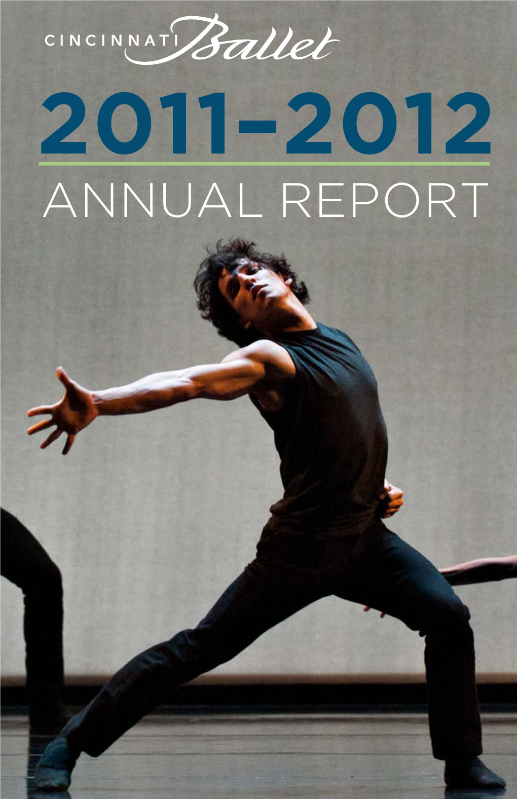 Annual Report 3