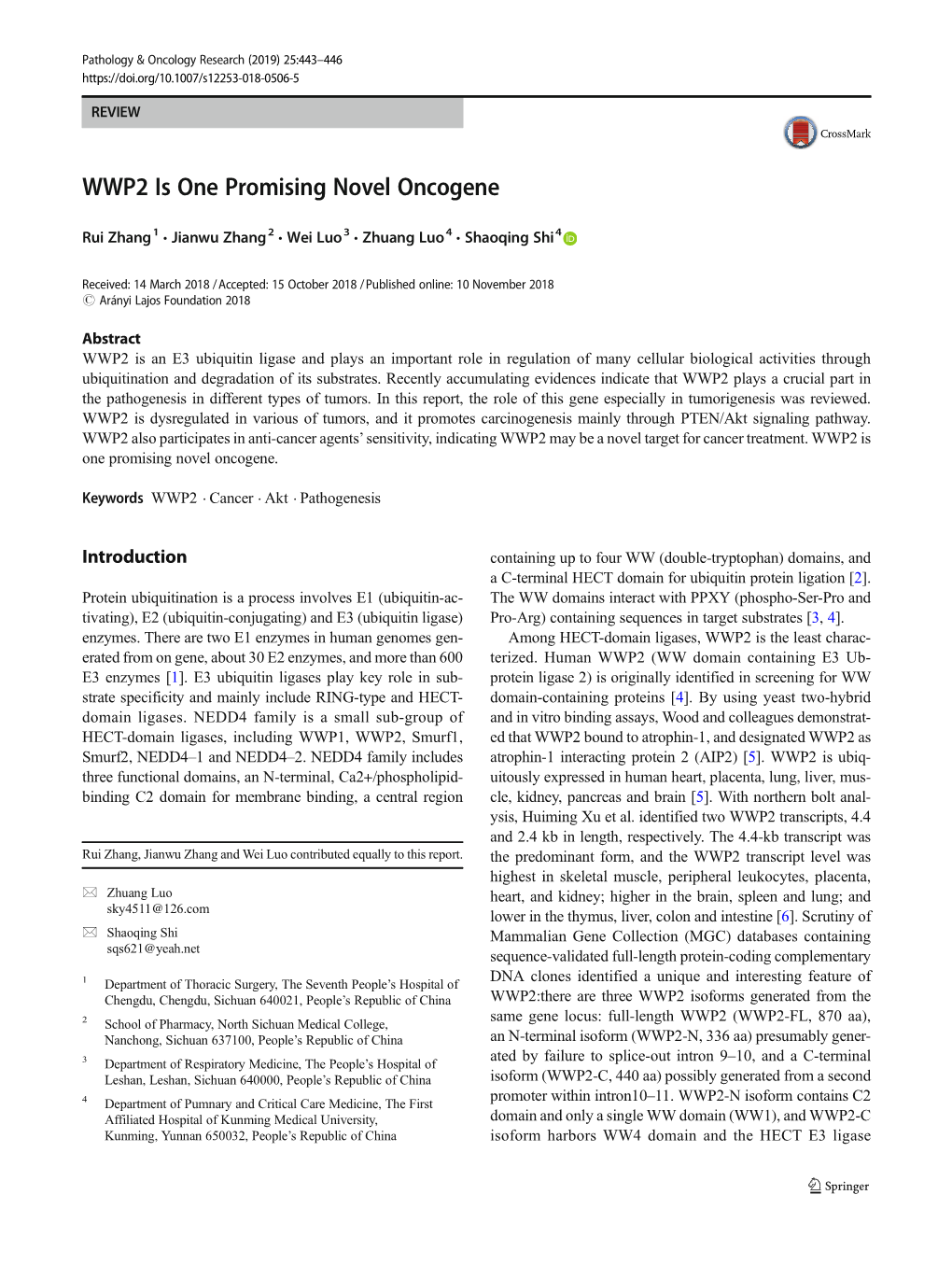 WWP2 Is One Promising Novel Oncogene