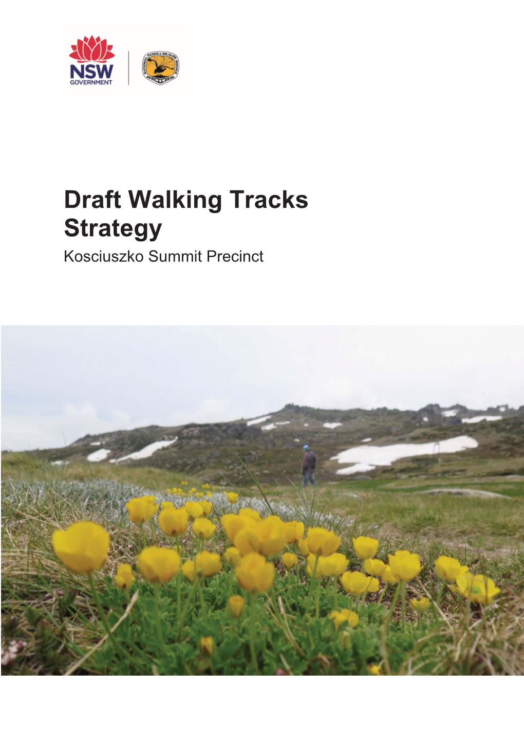 Draft Walking Track Strategy Kosciuszko Summit Precinct