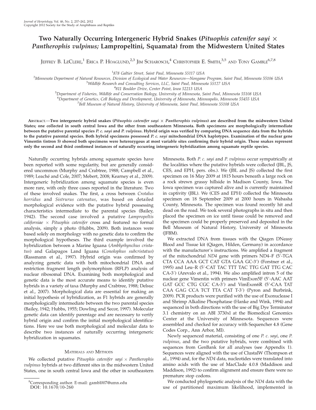 Two Naturally Occurring Intergeneric Hybrid Snakes (Pituophis Catenifer Sayi · Pantherophis Vulpinus; Lampropeltini, Squamata) from the Midwestern United States