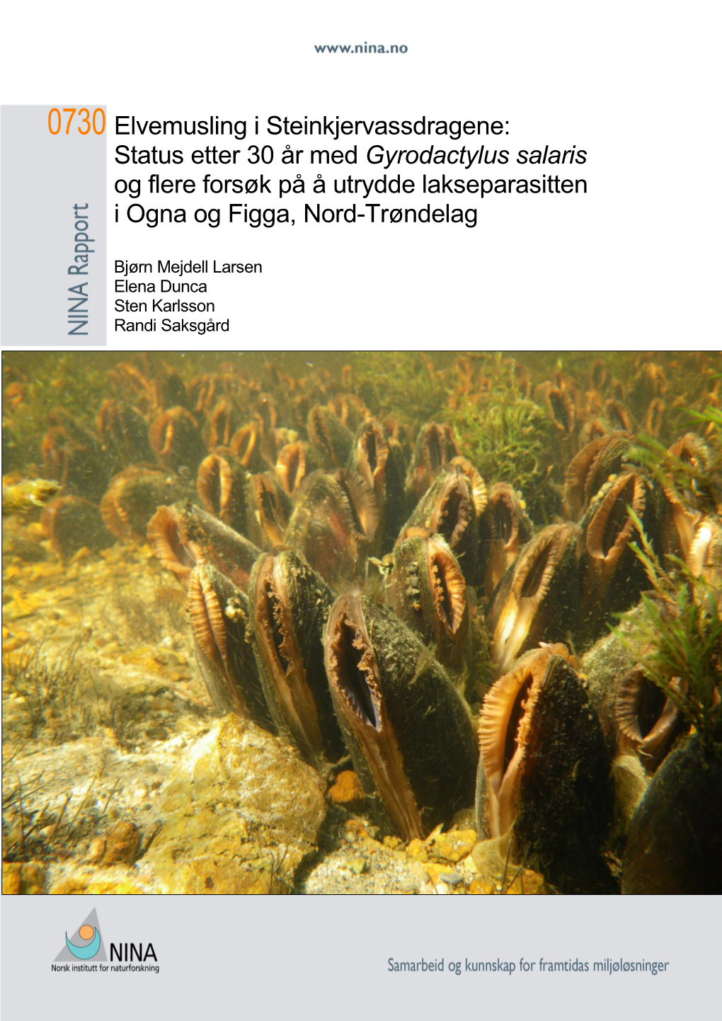 Elvemusling I Steinkjervassdragene: Status Etter 30 År Med Gyrodactylus Salaris Og Flere Forsøk På Å Utrydde Lakseparasitten I Ogna Og Figga, Nord-Trøndelag