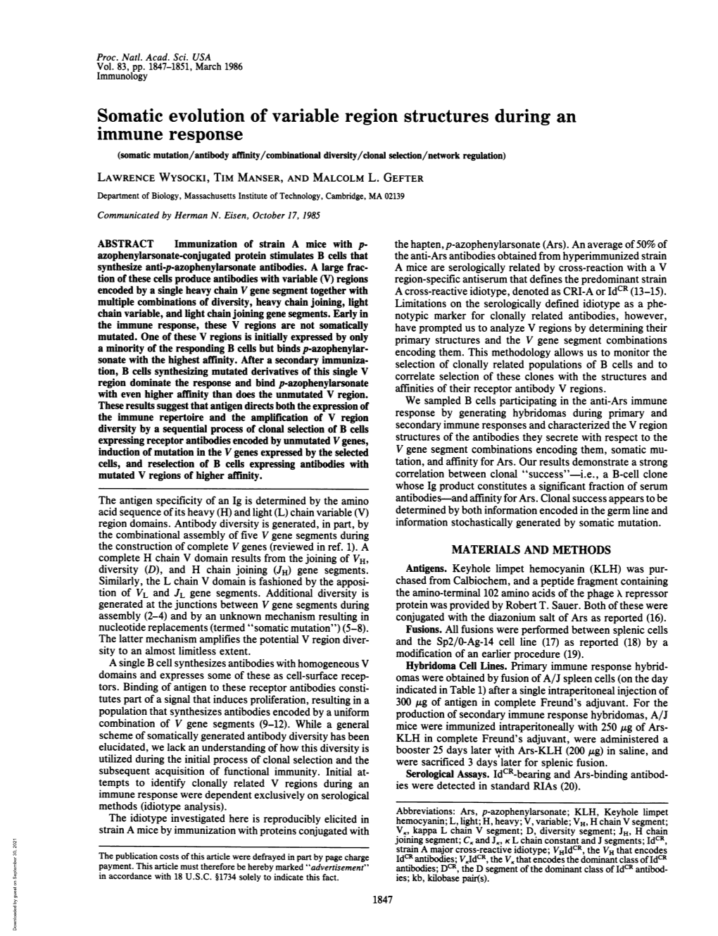 Immune Response (Somatic Mutation/Antibody Affinity/Combinational Diversity/Clonal Selection/Network Regulation) LAWRENCE WYSOCKI, TIM MANSER, and MALCOLM L