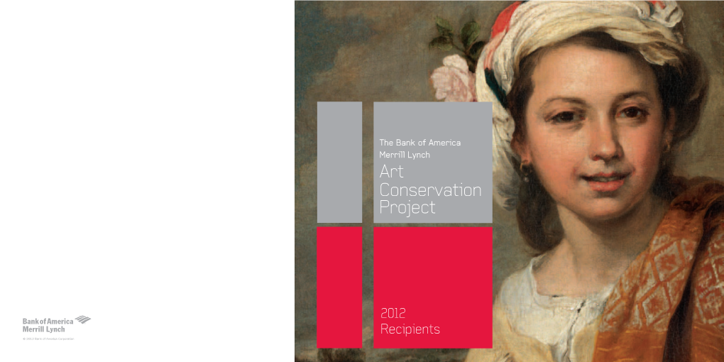 Art Conservation Project