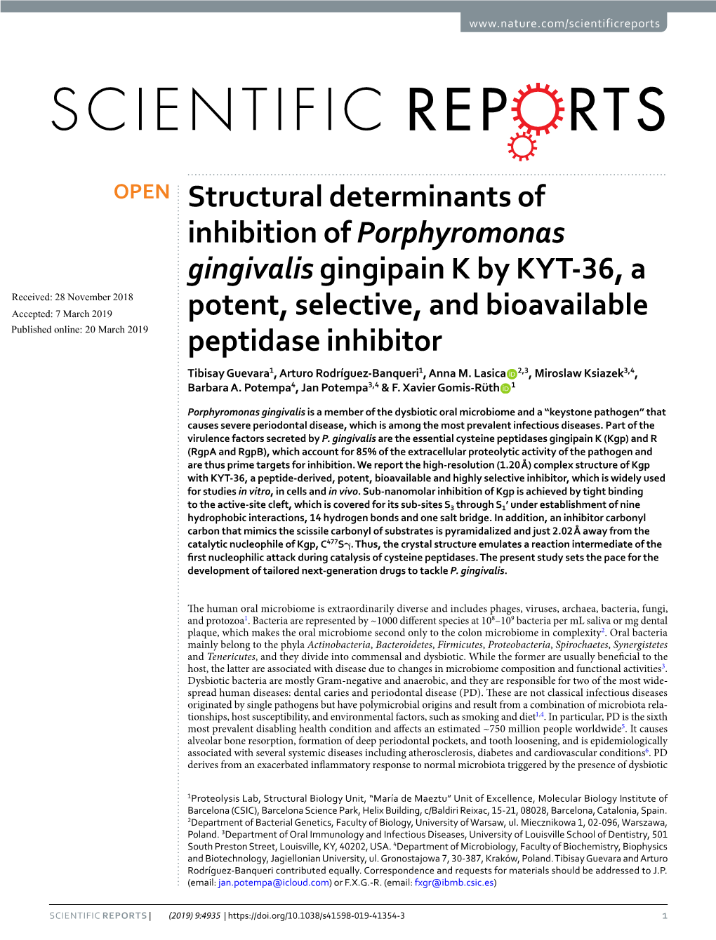 Structural Determinants of Inhibition of Porphyromonas Gingivalis