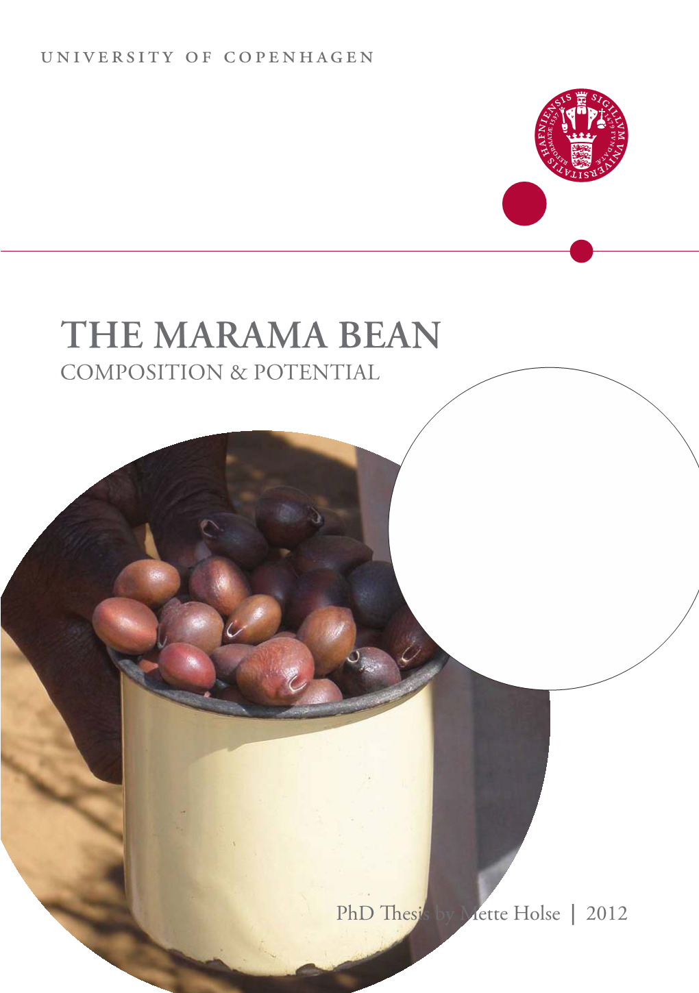 The Marama Bean Composition & Potential