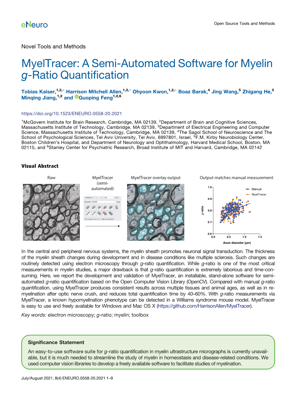 A Semi-Automated Software for Myelin G-Ratio Quantification