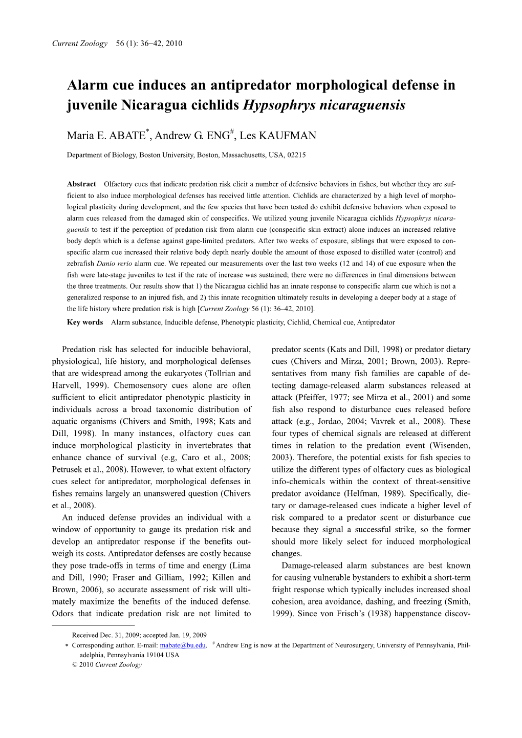 Alarm Cue Induces an Antipredator Morphological Defense in Juvenile Nicaragua Cichlids Hypsophrys Nicaraguensis