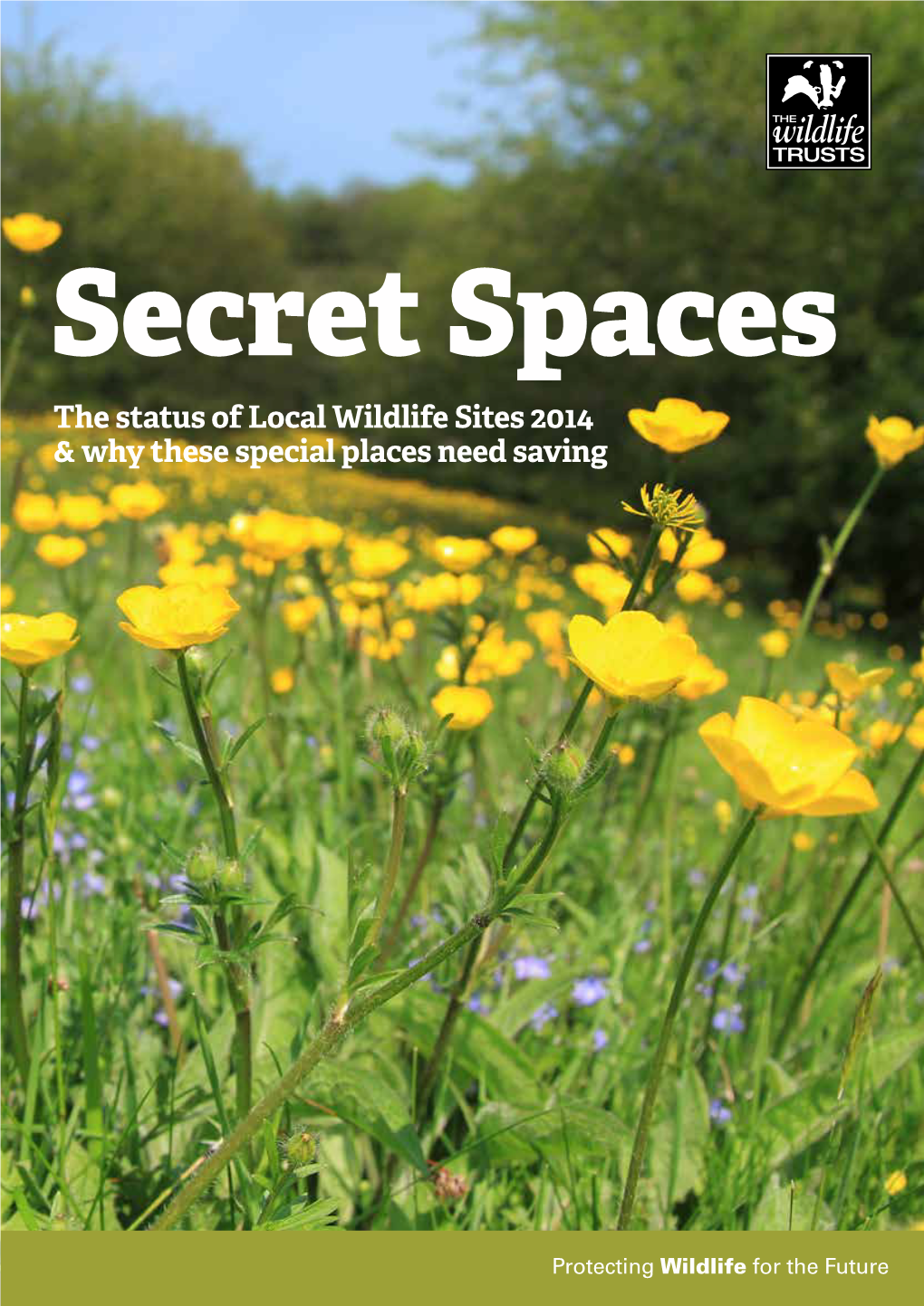 The Status of Local Wildlife Sites 2014 & Why These Special Places Need
