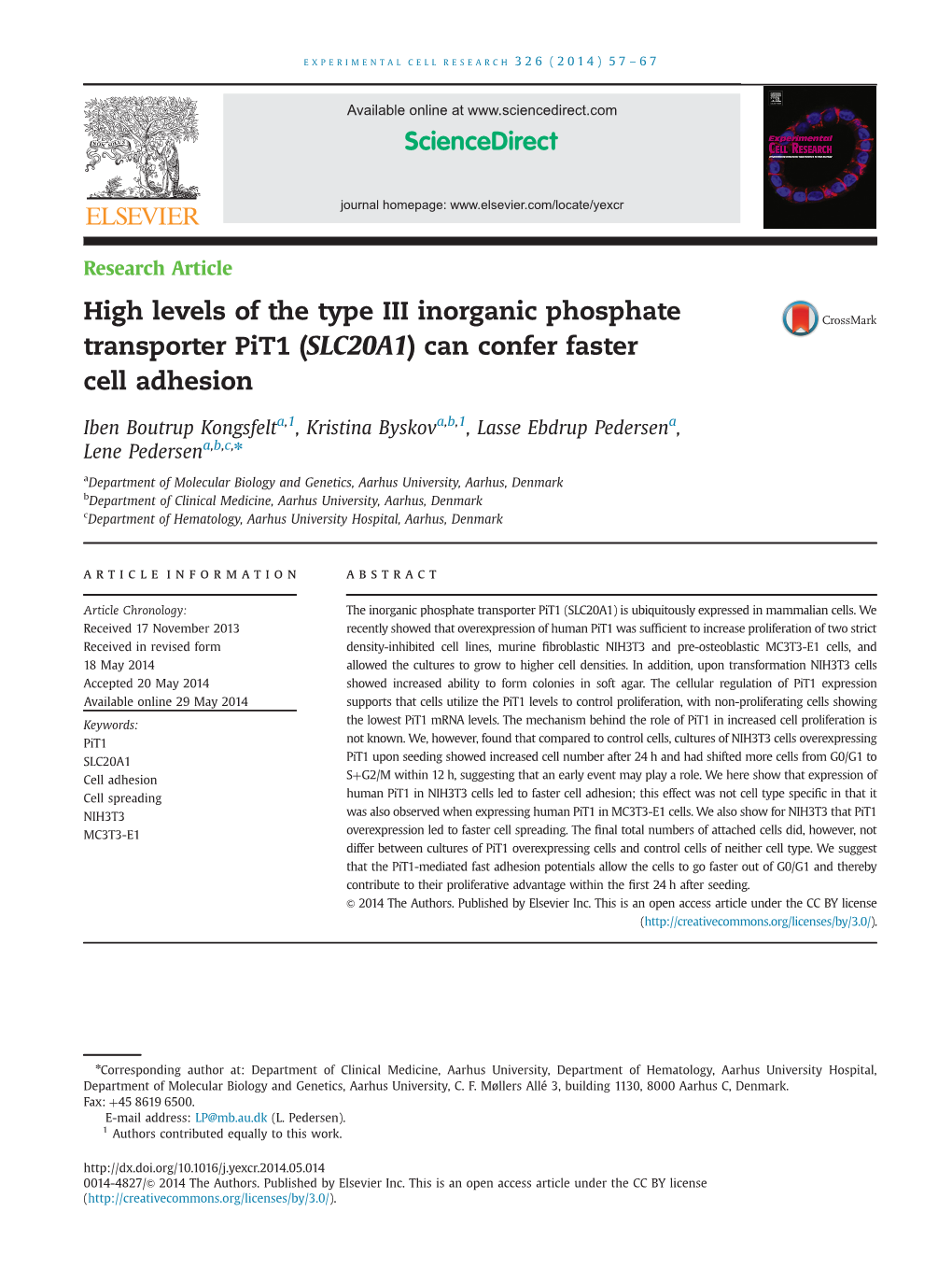 High Levels of the Type III Inorganic Phosphate Transporter Pit1 (SLC20A1) Can Confer Faster Cell Adhesion