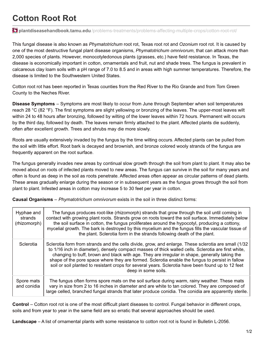 Cotton Root Rot