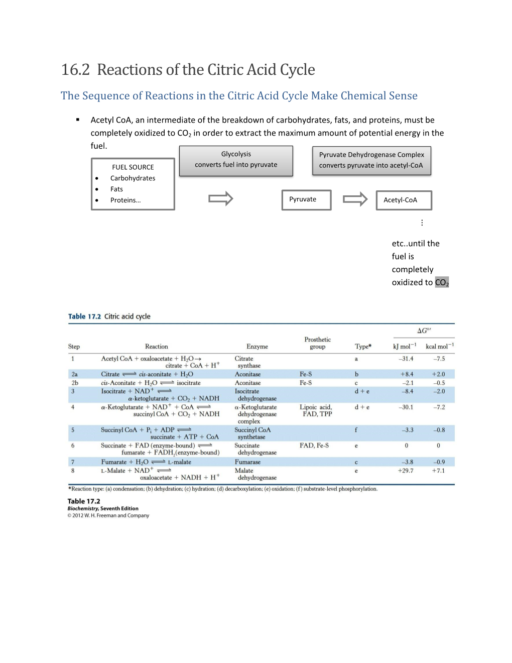 16.2 Reactions of the Citric Acid Cycle the Sequence of Reactions in the Citric Acid Cycle Make Chemical Sense