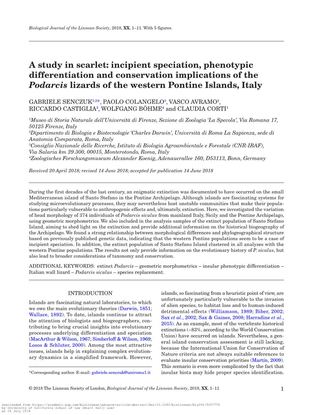 Incipient Speciation, Phenotypic Differentiation and Conservation Implications of the Podarcis Lizards of the Western Pontine Islands, Italy