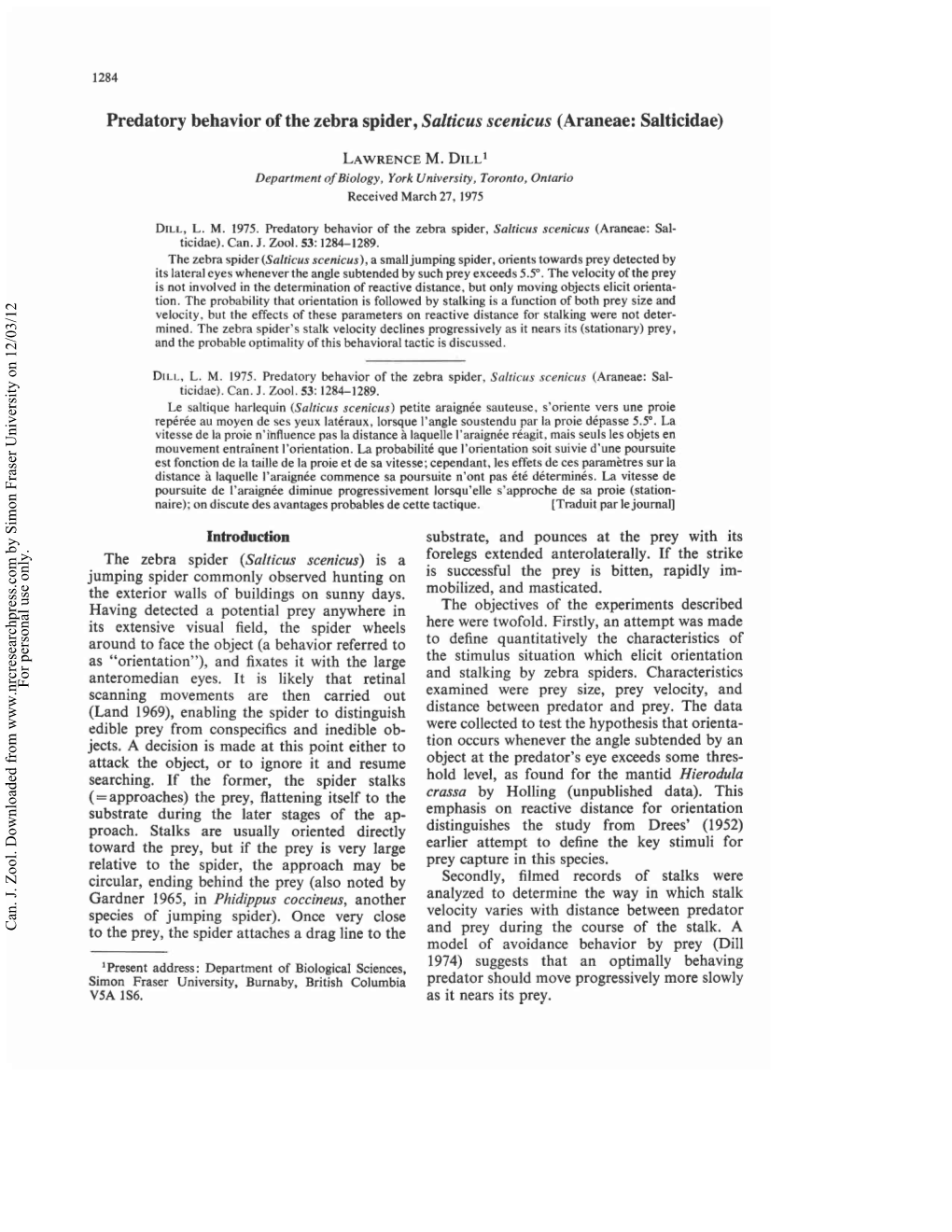 Predatory Behavior of the Zebra Spider, Salticus Scenicus (Araneae: Salticidae)