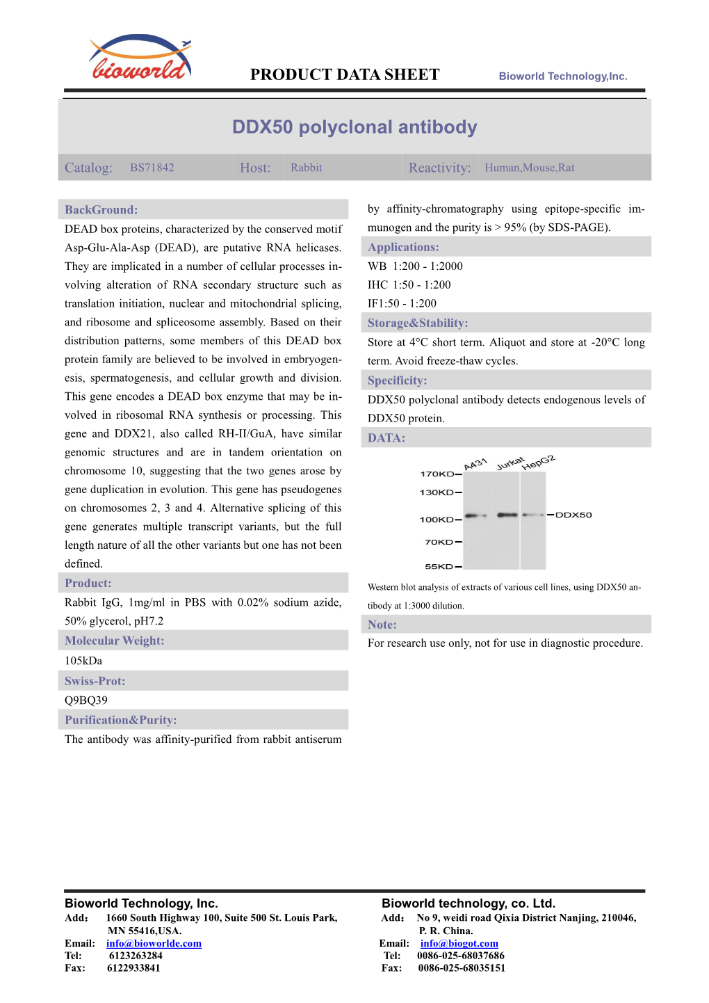 DDX50 Polyclonal Antibody