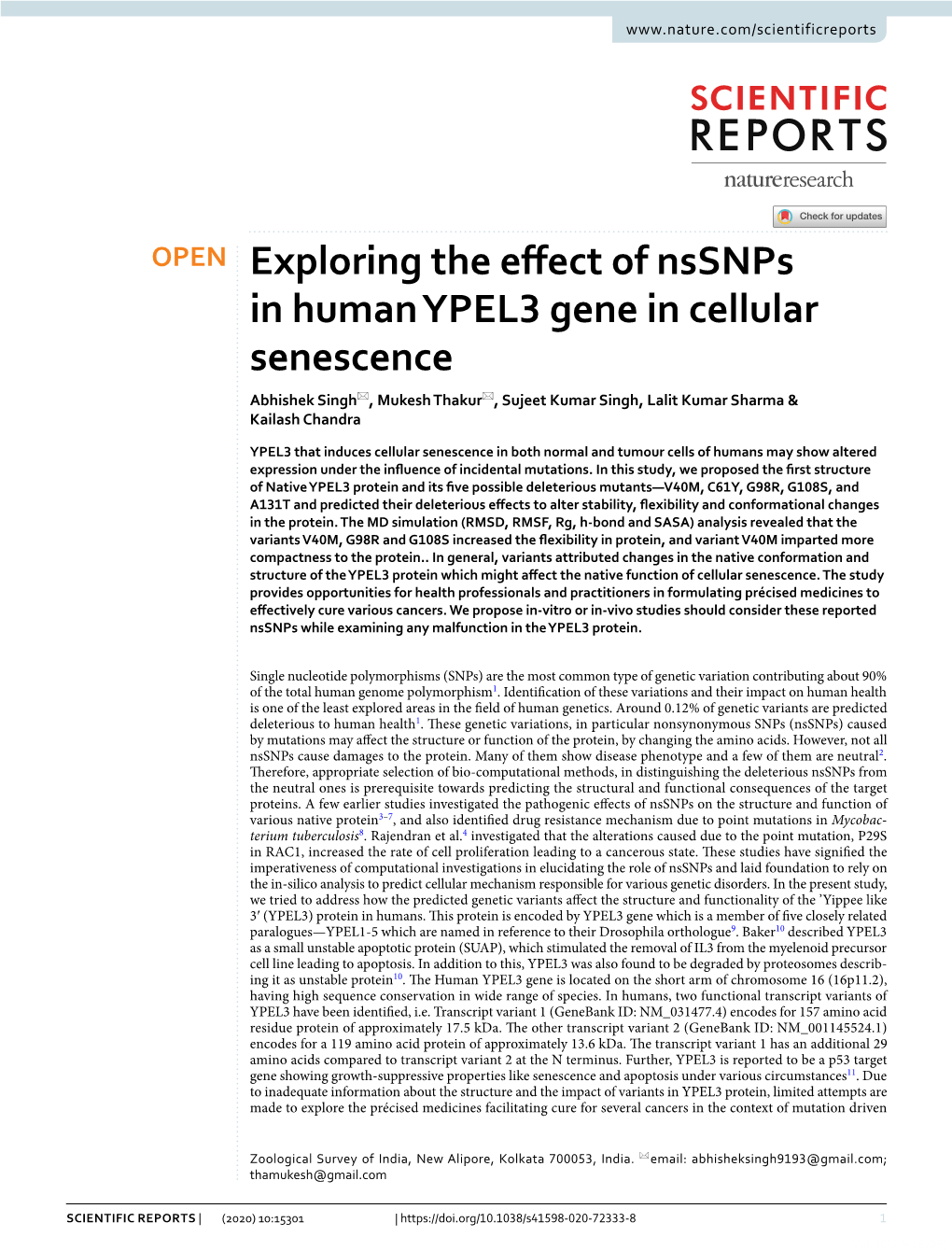Exploring the Effect of Nssnps in Human YPEL3 Gene in Cellular