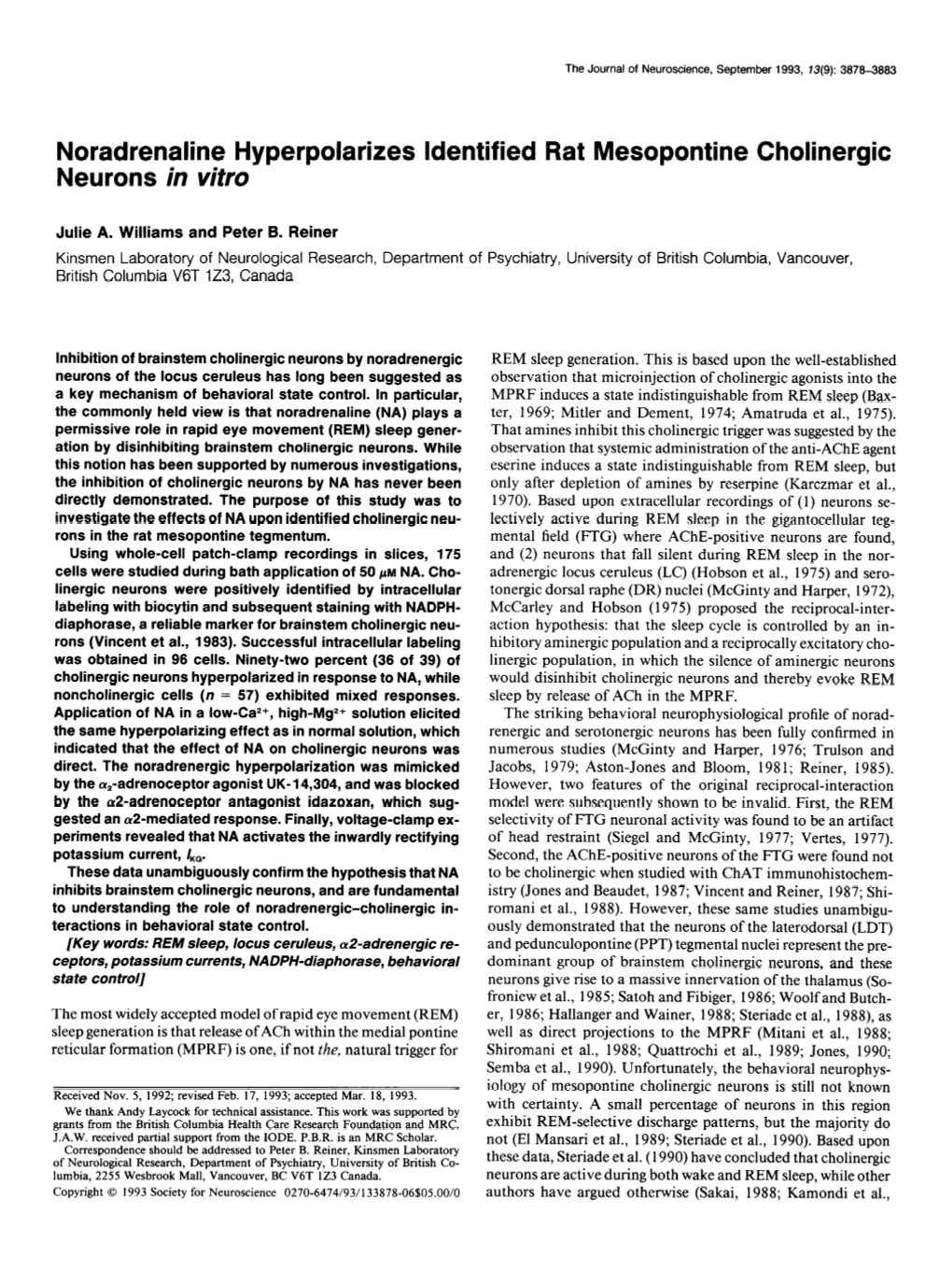Noradrenaline Hyperpolarizes Identified Rat Mesopontine Cholinergic Neurons in Vitro