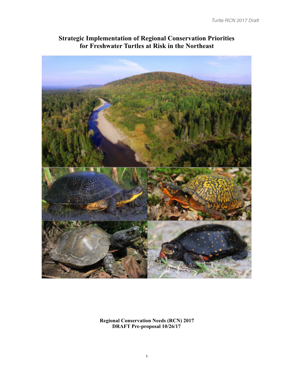 Strategic Implementation of Regional Conservation Priorities for Freshwater Turtles at Risk in the Northeast