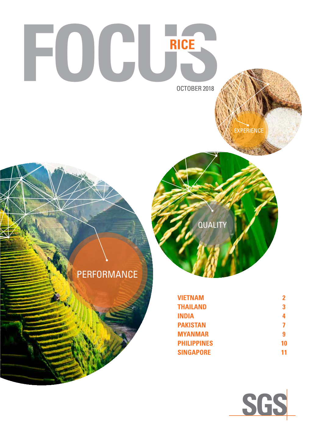 Download the 2018 Focus on Rice