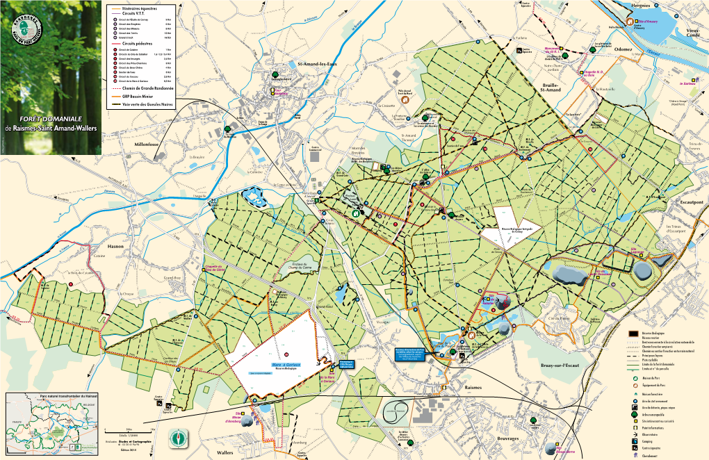 Forêt Domaniale De Raismes-Saint Amand-Wallers, (ZPS) Vise À Assurer La Préservation D’Oiseaux Rares Comme Couvre 4838 Hectares