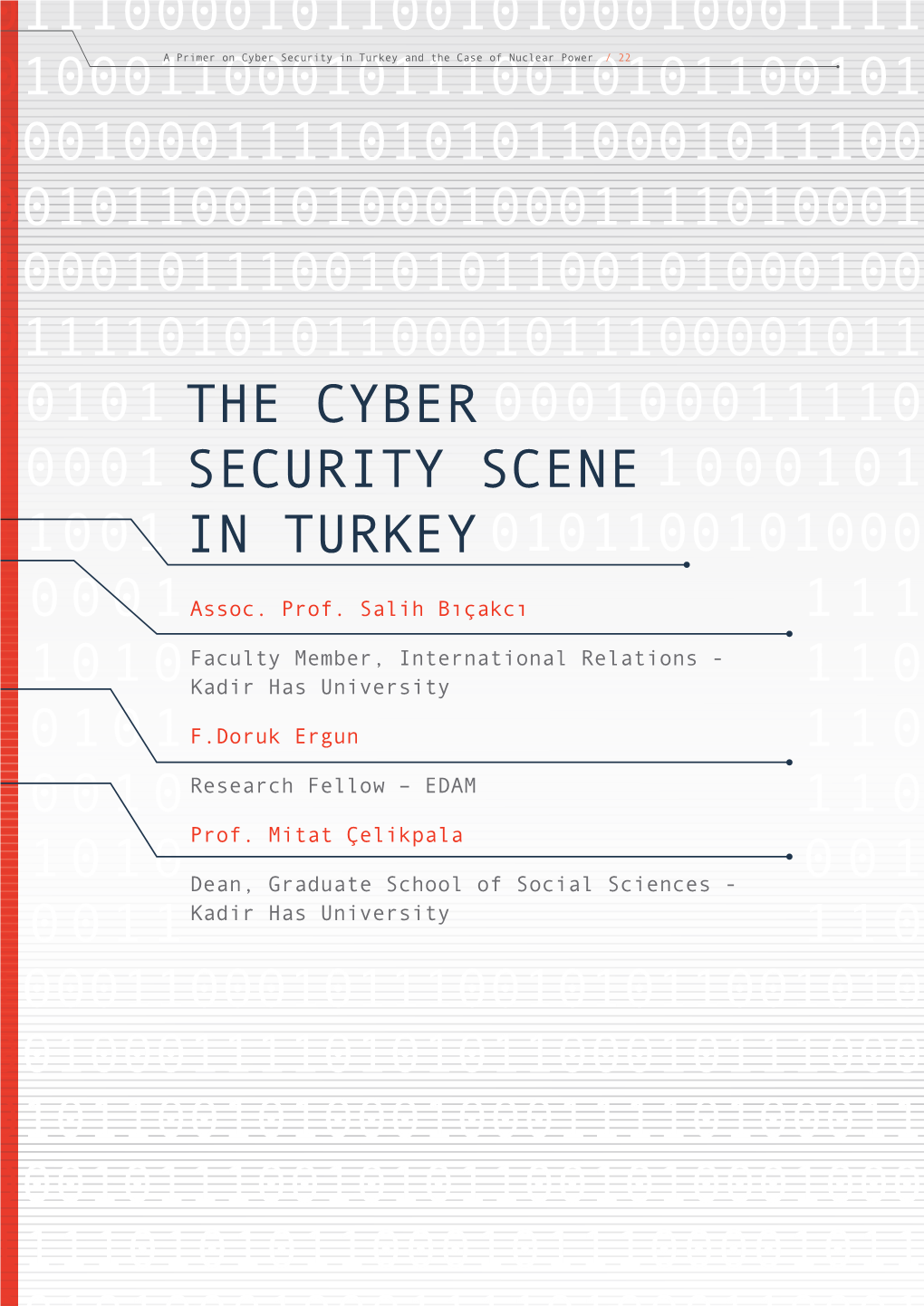 The Cyber Security Scene in Turkey