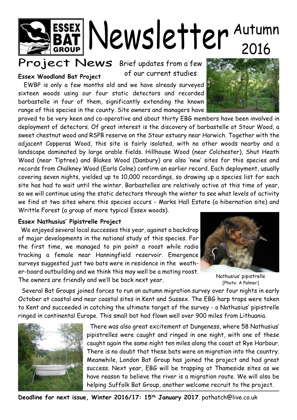 Essex Bat Group Newsletter 2016 Autumn