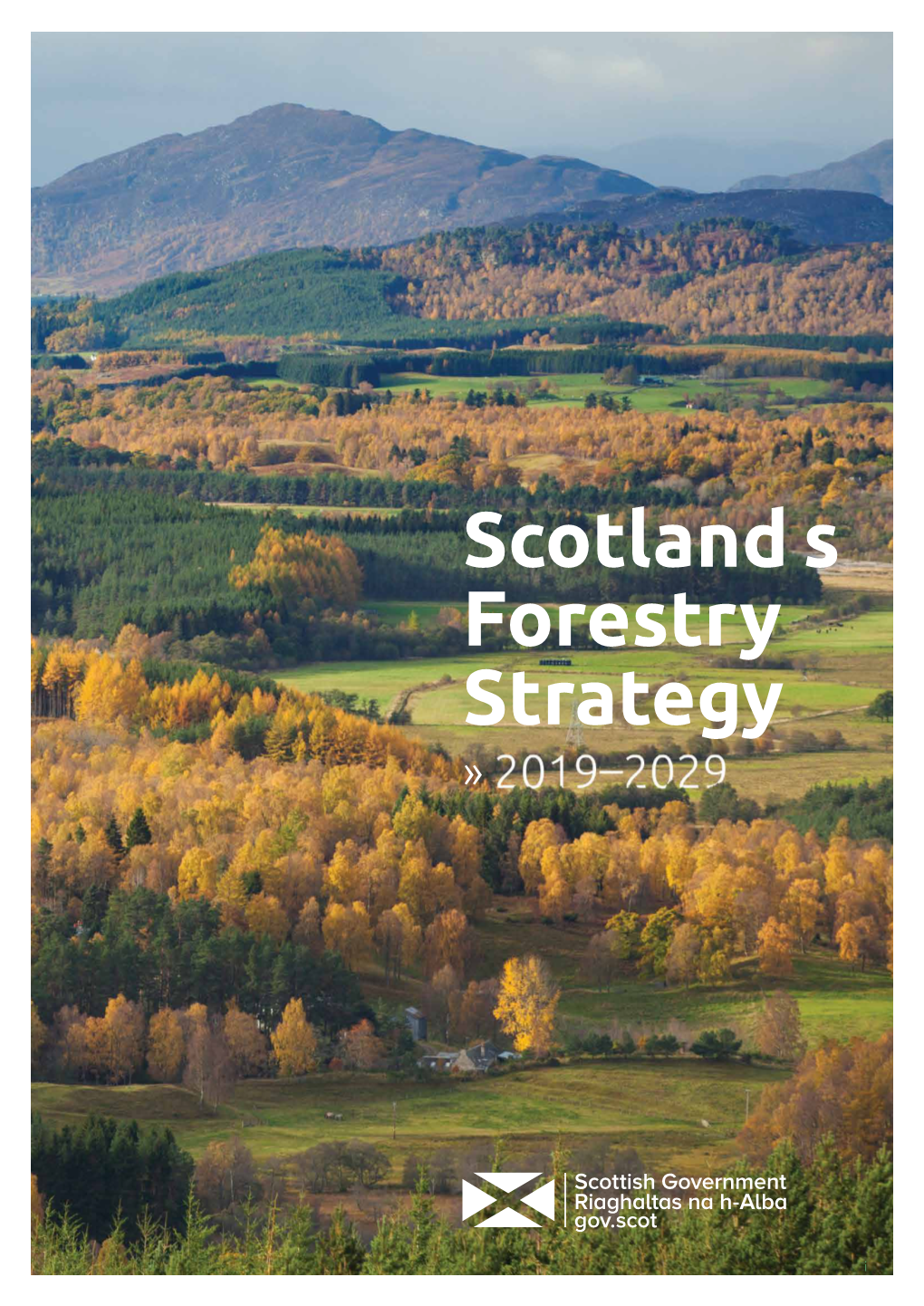 Scotland's Forestry Strategy 2019-2029