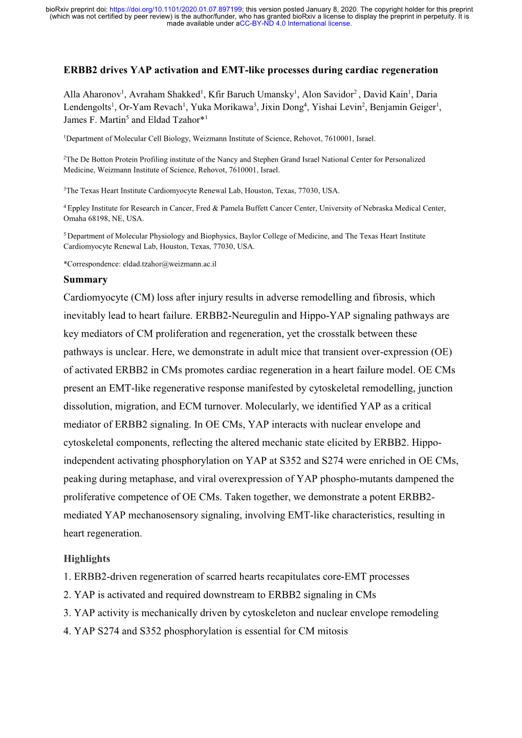 ERBB2 Drives YAP Activation and EMT-Like Processes During Cardiac Regeneration