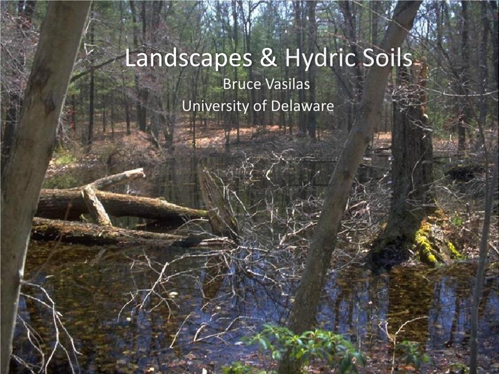 Landscapes & Hydric Soils