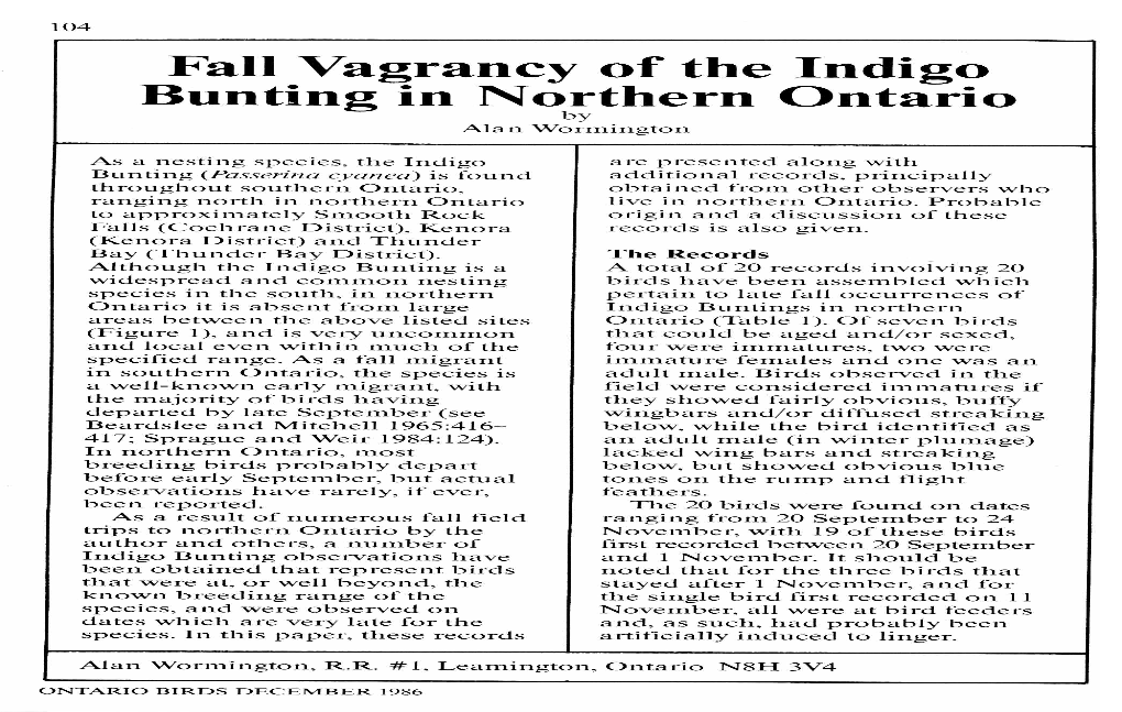 Fall Vagrancy of the Indigo Bunting in Northern Ontario by Alan Wormington