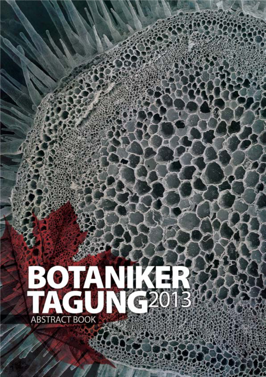 Botanikertagung 2013 Abstracts.Pdf