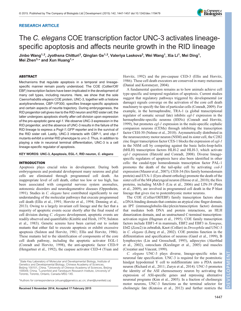 Specific Apoptosis and Affects Neurite Growth in the RID Lineag