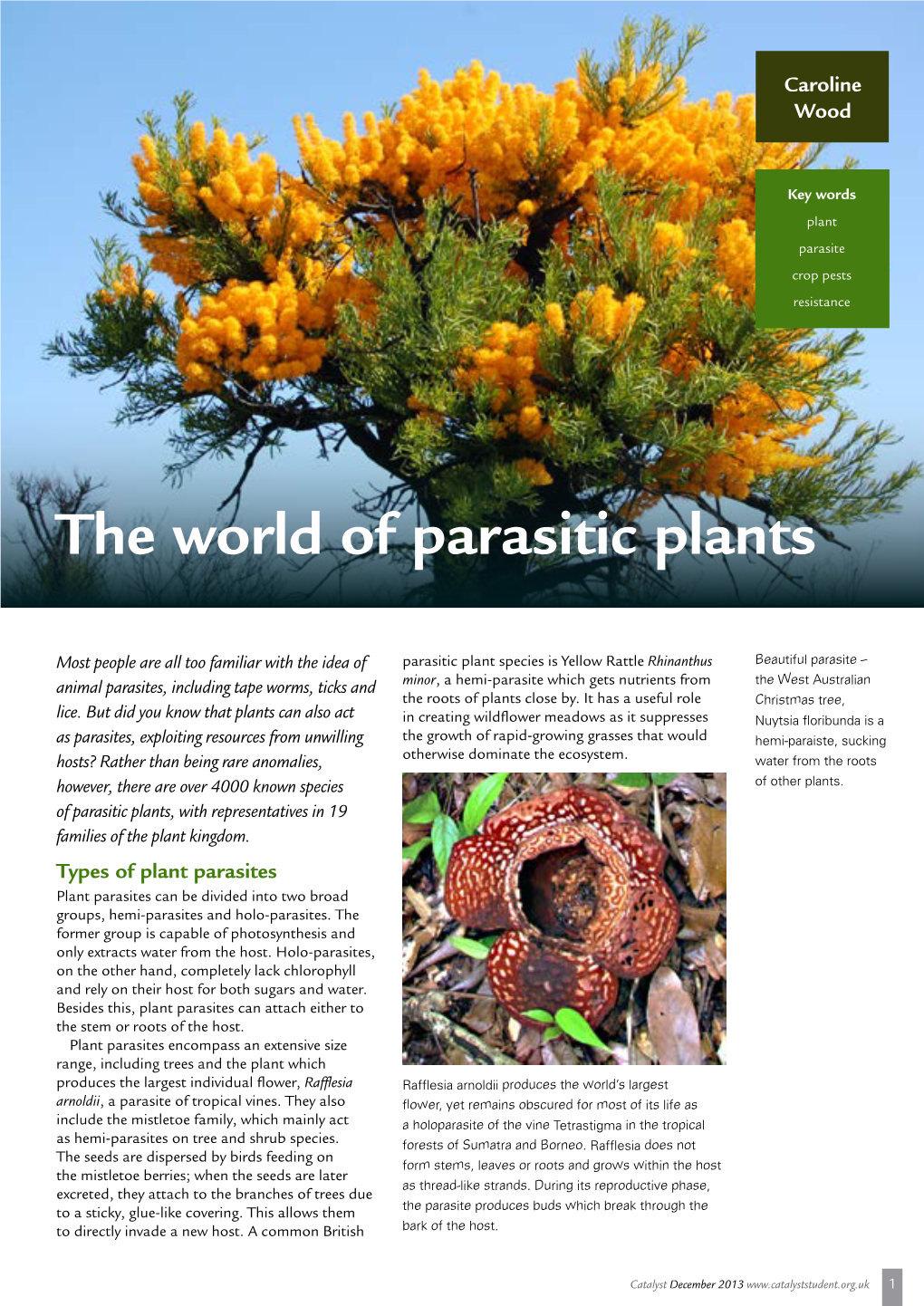 The World of Parasitic Plants