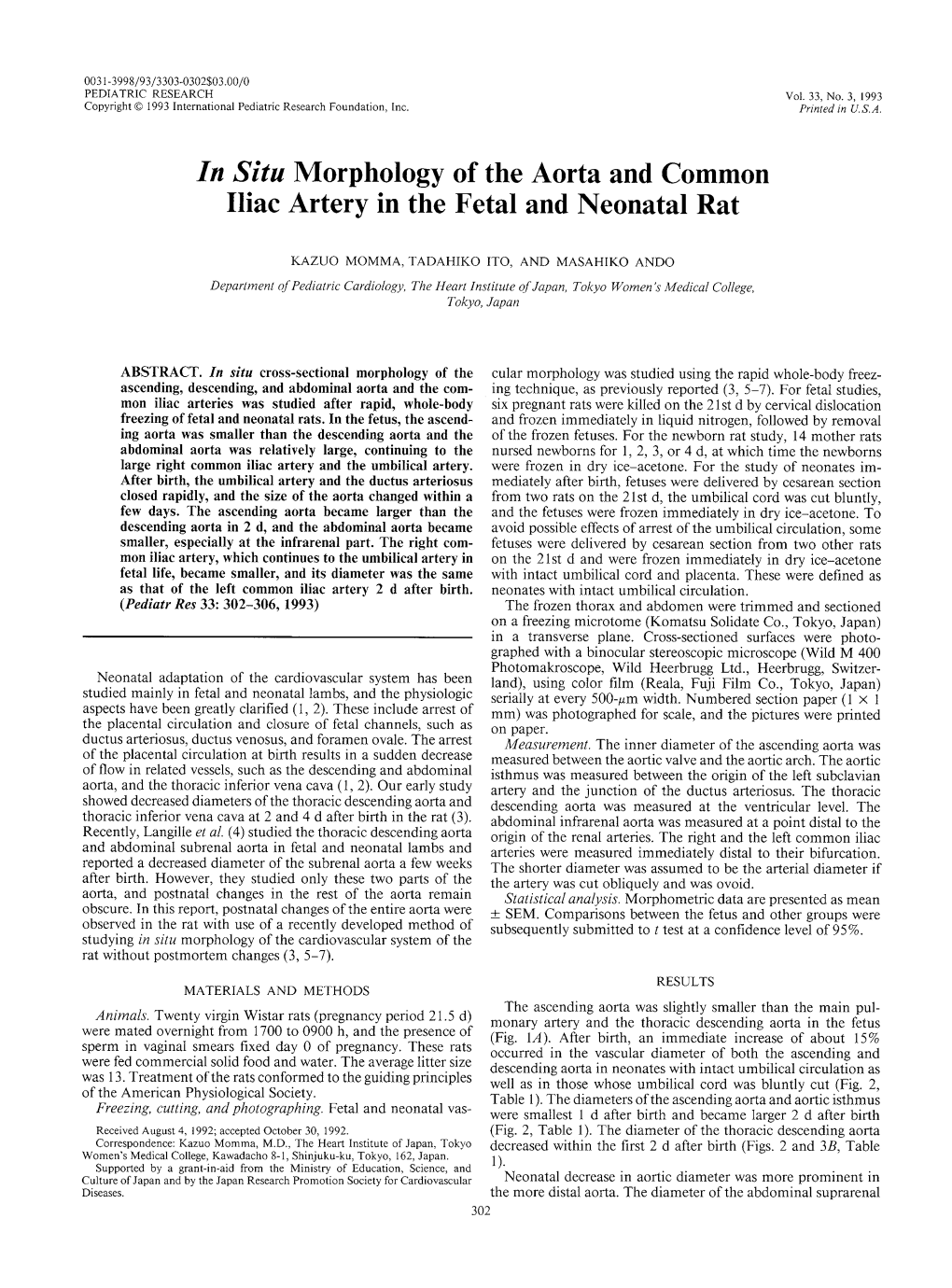 In Situ Morphology of the Aorta and Common Iliac Artery in the Fetal and Neonatal Rat