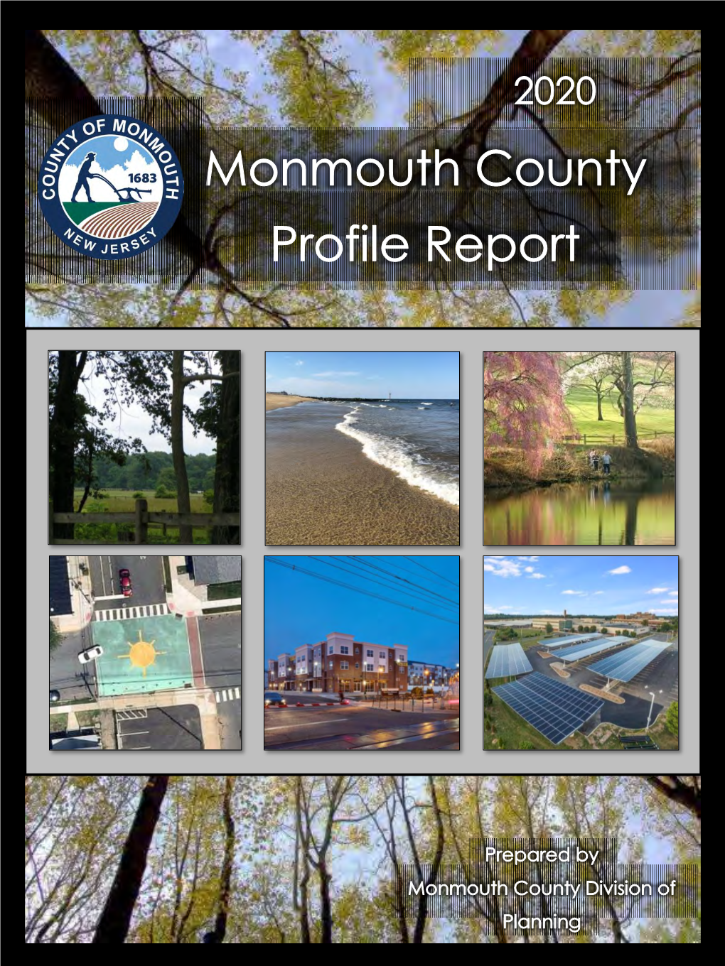 Monmouth County Profile 2020