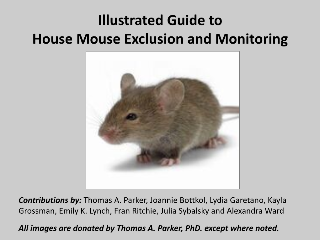 Illustrated Guide to House Mouse Exclusion and Monitoring