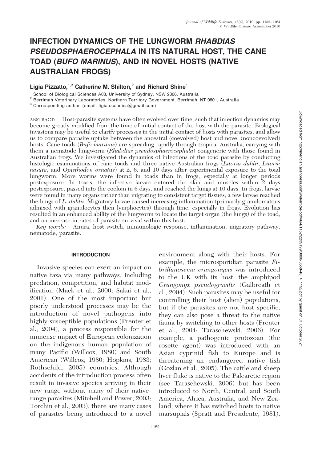 Infection Dynamics of the Lungworm Rhabdias Pseudosphaerocephala in Its Natural Host, the Cane Toad (Bufo Marinus), and in Novel Hosts (Native Australian Frogs)